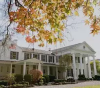 Ranipet Ads in cgi-sys